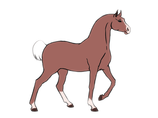 Horse_Walk_Cycle_by_Aaorin.gif