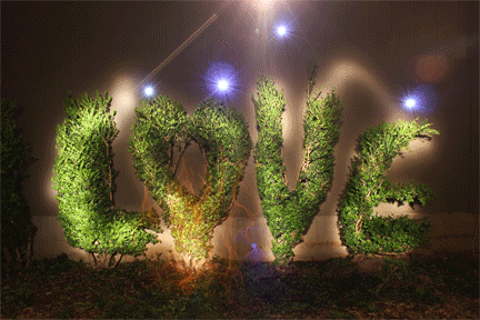 love