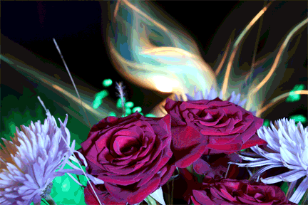 roses3